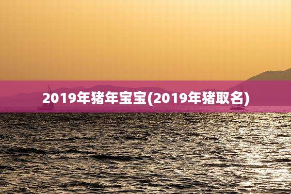 2019年猪年宝宝(2019年猪取名)