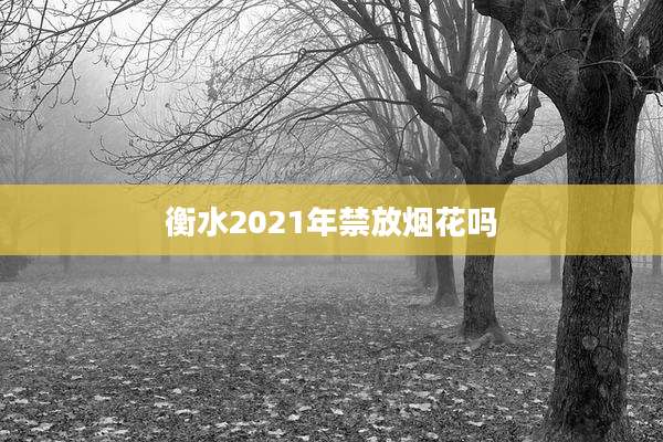 衡水2021年禁放烟花吗