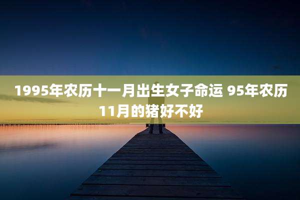 1995年农历十一月出生女子命运 95年农历11月的猪好不好