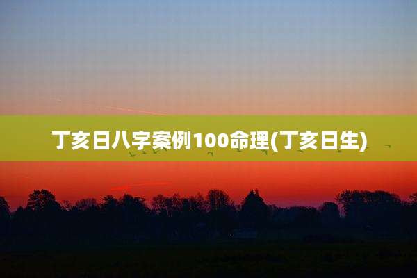 丁亥日八字案例100命理(丁亥日生)
