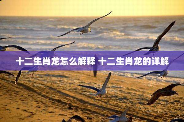 十二生肖龙怎么解释 十二生肖龙的详解