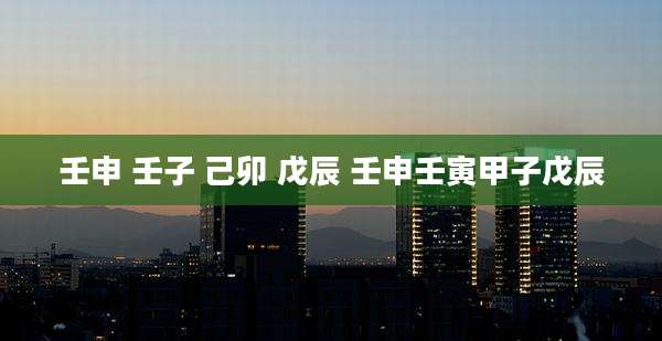 壬申 壬子 己卯 戊辰 壬申壬寅甲子戊辰