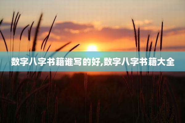 数字八字书籍谁写的好,数字八字书籍大全