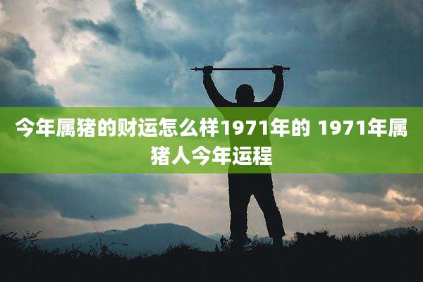 今年属猪的财运怎么样1971年的 1971年属猪人今年运程