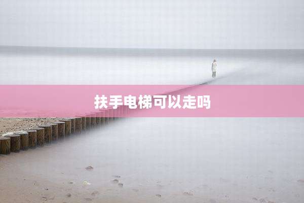 扶手电梯可以走吗