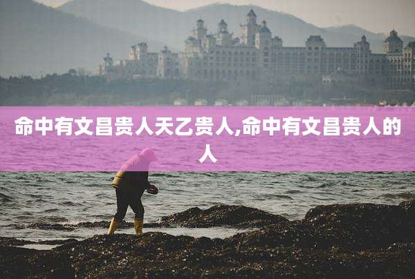 命中有文昌贵人天乙贵人,命中有文昌贵人的人