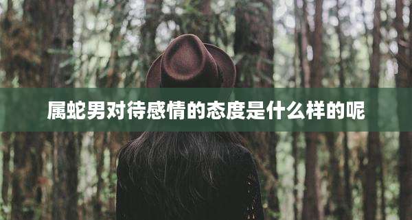 属蛇男对待感情的态度是什么样的呢