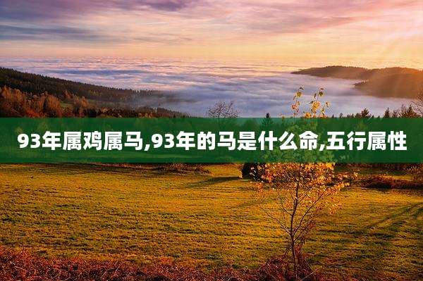 93年属鸡属马,93年的马是什么命,五行属性