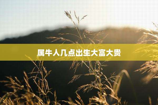 属牛人几点出生大富大贵
