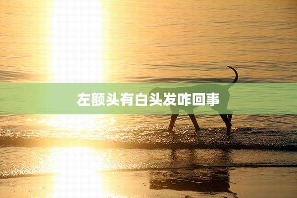 左额头有白头发咋回事