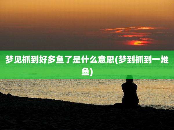 梦见抓到好多鱼了是什么意思(梦到抓到一堆鱼)
