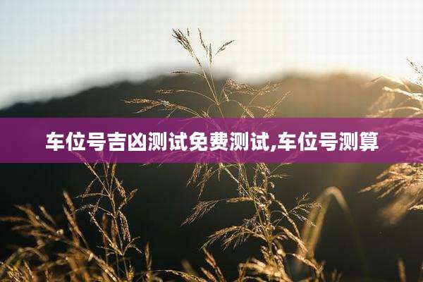 车位号吉凶测试免费测试,车位号测算