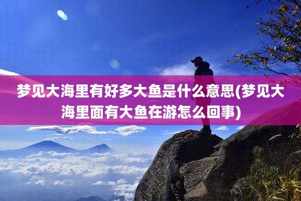 梦见大海里有好多大鱼是什么意思(梦见大海里面有大鱼在游怎么回事)