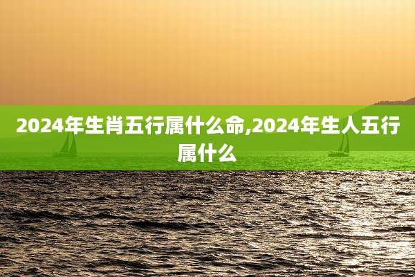 2024年生肖五行属什么命,2024年生人五行属什么