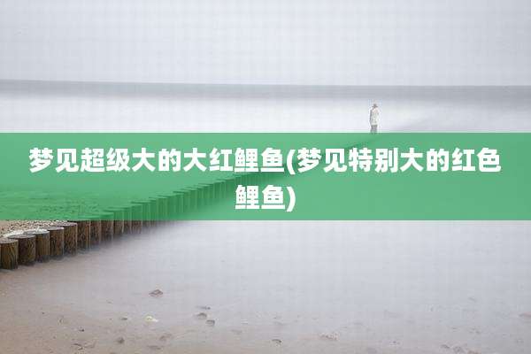 梦见超级大的大红鲤鱼(梦见特别大的红色鲤鱼)