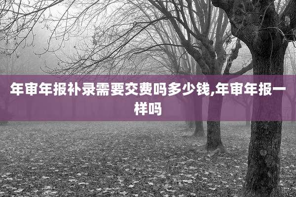 年审年报补录需要交费吗多少钱,年审年报一样吗