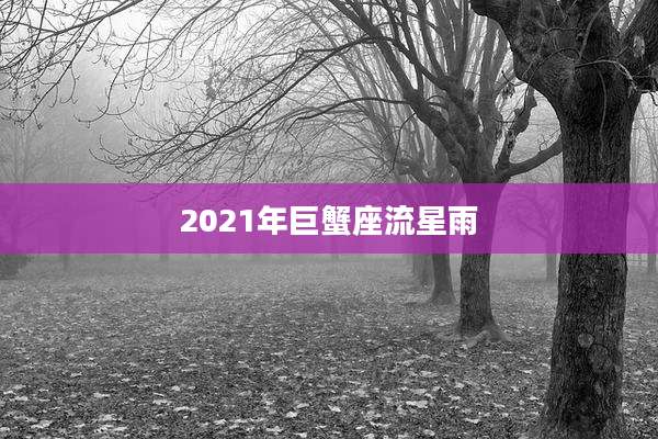 2021年巨蟹座流星雨