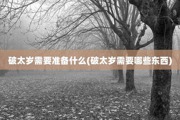 破太岁需要准备什么(破太岁需要哪些东西)