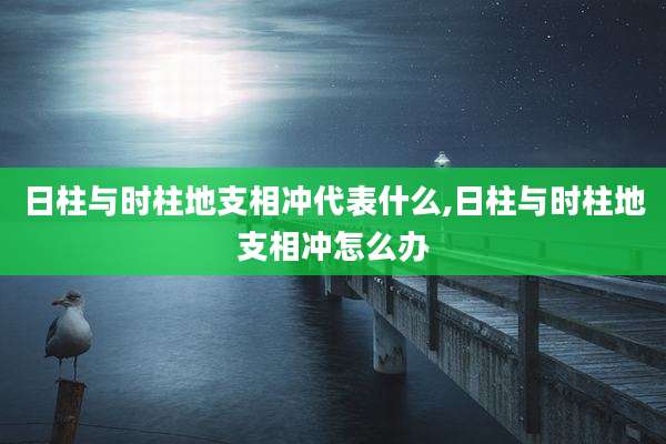 日柱与时柱地支相冲代表什么,日柱与时柱地支相冲怎么办