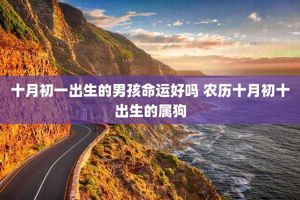十月初一出生的男孩命运好吗 农历十月初十出生的属狗