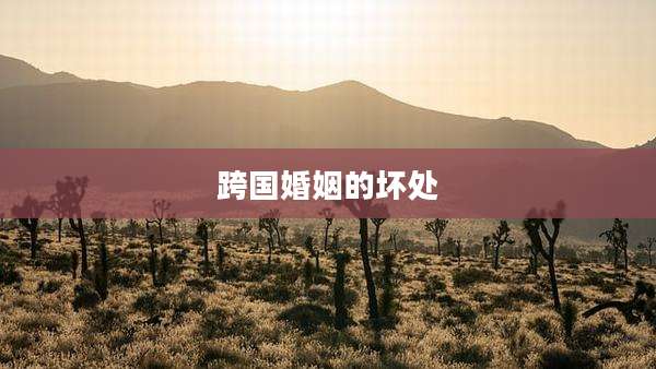 跨国婚姻的坏处