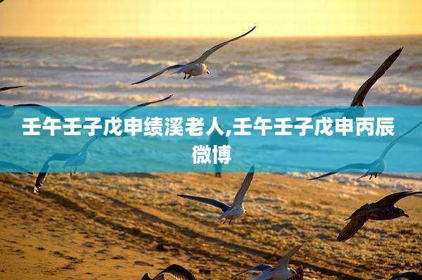 壬午壬子戊申绩溪老人,壬午壬子戊申丙辰 微博