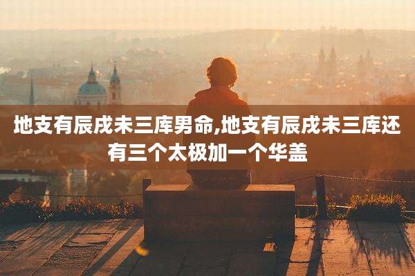 地支有辰戌未三库男命,地支有辰戌未三库还有三个太极加一个华盖