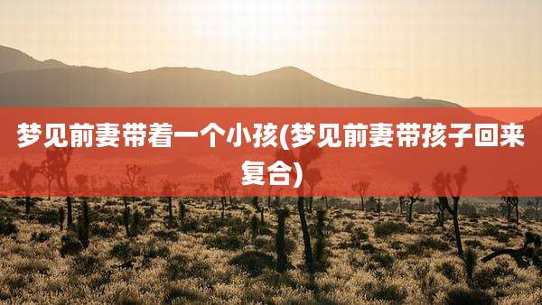 梦见前妻带着一个小孩(梦见前妻带孩子回来复合)