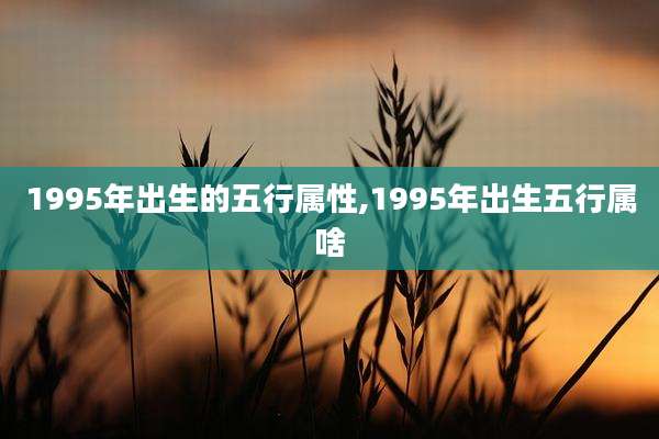 1995年出生的五行属性,1995年出生五行属啥