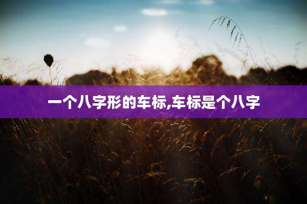 一个八字形的车标,车标是个八字
