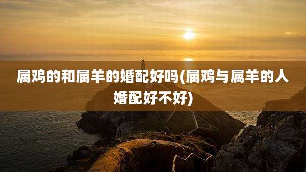 属鸡的和属羊的婚配好吗(属鸡与属羊的人婚配好不好)