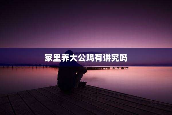家里养大公鸡有讲究吗