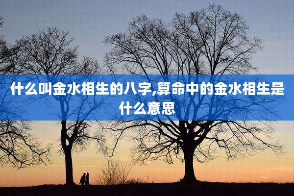 什么叫金水相生的八字,算命中的金水相生是什么意思