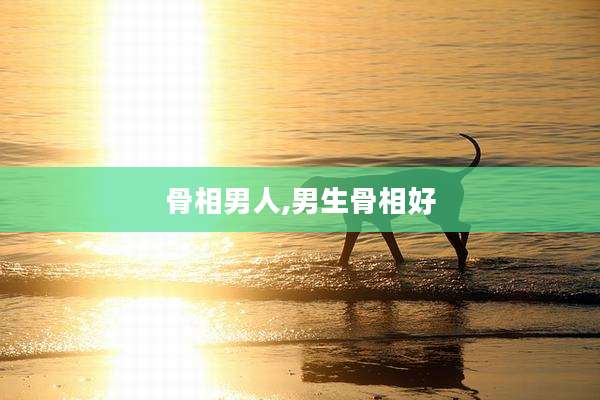 骨相男人,男生骨相好
