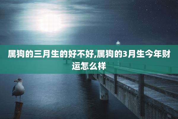 属狗的三月生的好不好,属狗的3月生今年财运怎么样