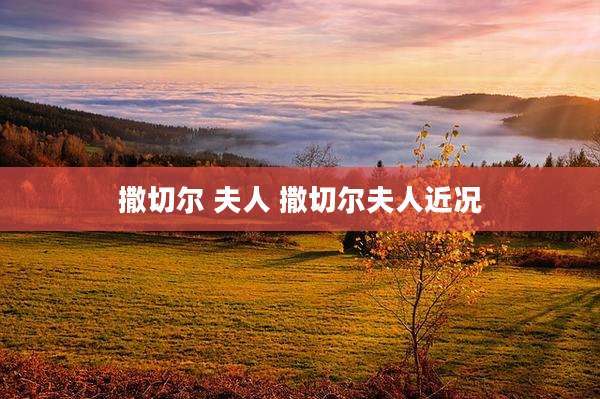 撒切尔 夫人 撒切尔夫人近况