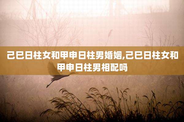 己巳日柱女和甲申日柱男婚姻,己巳日柱女和甲申日柱男相配吗