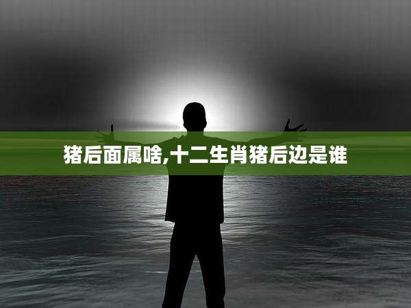 猪后面属啥,十二生肖猪后边是谁