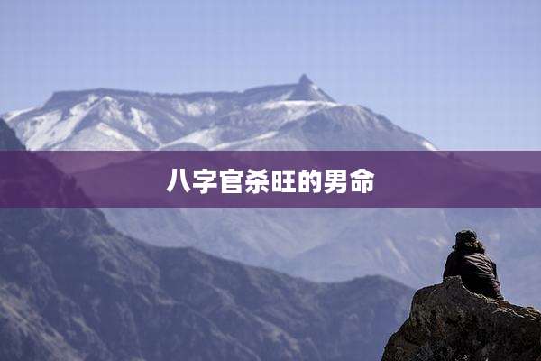 八字官杀旺的男命