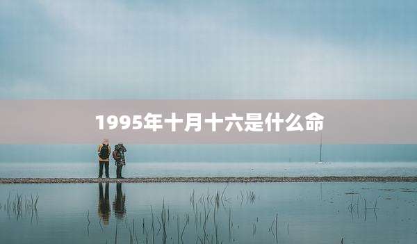 1995年十月十六是什么命