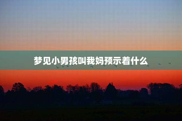 梦见小男孩叫我妈预示着什么