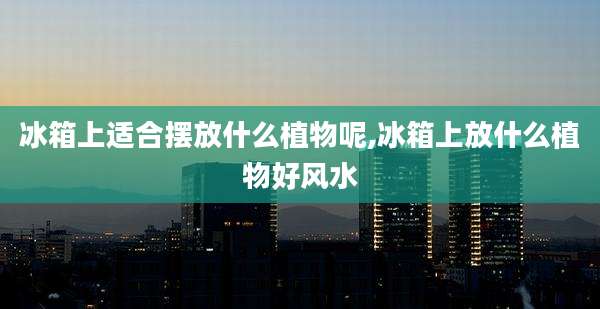 冰箱上适合摆放什么植物呢,冰箱上放什么植物好风水