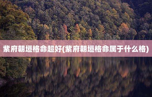 紫府朝垣格命超好(紫府朝垣格命属于什么格)