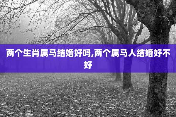 两个生肖属马结婚好吗,两个属马人结婚好不好