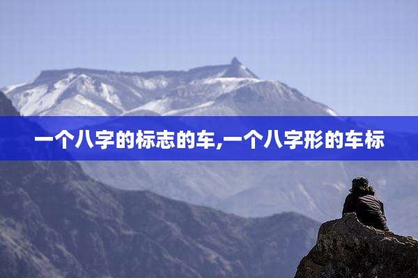 一个八字的标志的车,一个八字形的车标