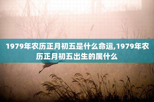 1979年农历正月初五是什么命运,1979年农历正月初五出生的属什么