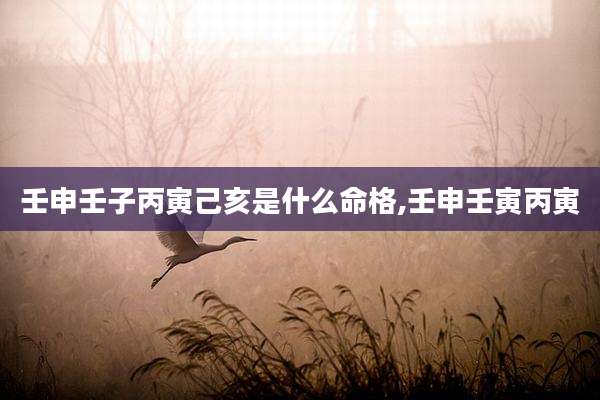 壬申壬子丙寅己亥是什么命格,壬申壬寅丙寅