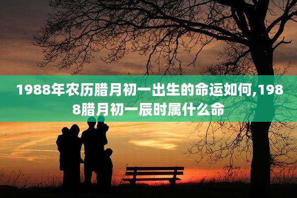 1988年农历腊月初一出生的命运如何,1988腊月初一辰时属什么命