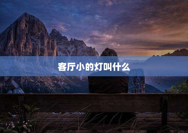 客厅小的灯叫什么
