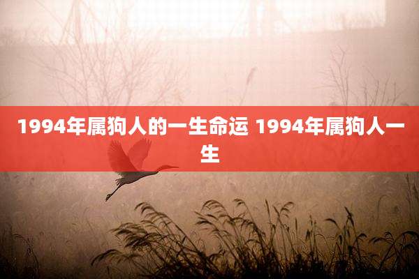 1994年属狗人的一生命运 1994年属狗人一生